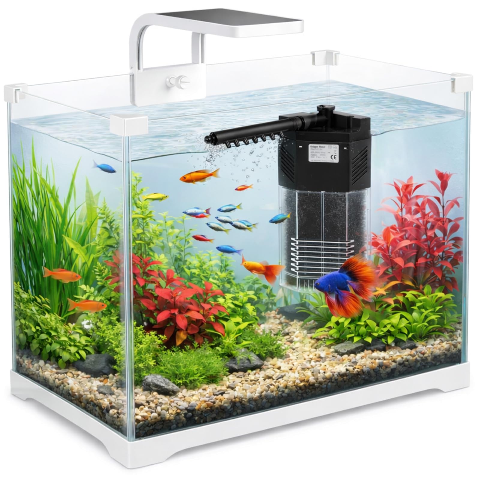 Kruger Meier Shrimp!One Pro 50 Aquarium Komplettset 25L – Nano Aquarium mit LED Beleuchtung und Innenfilter für Garnelen & Fische