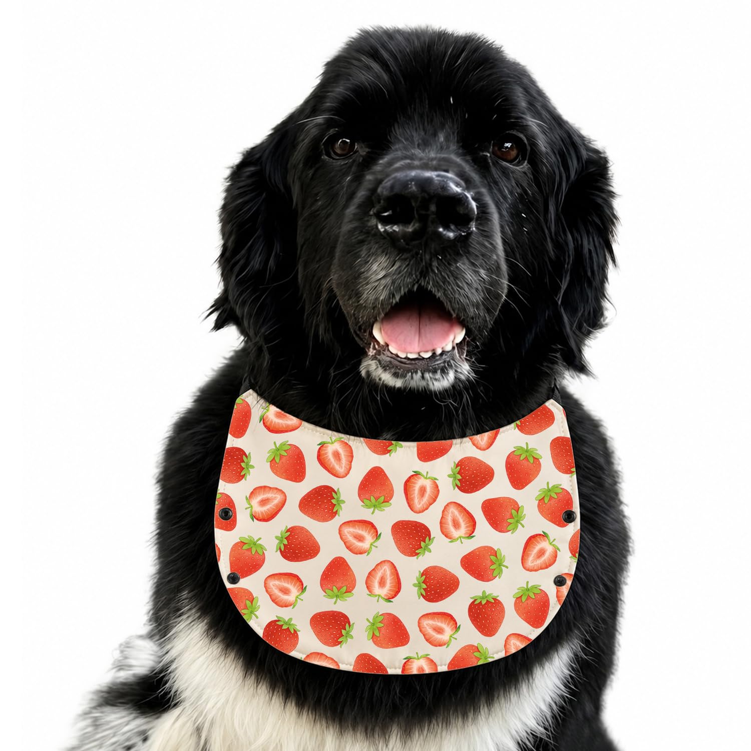 Strawberrys Dog Drool Bib Strawberry Lover Gifts Adjustable XL Slobber Catcher For Large Giant Breeds Newfoundland Mastiff Drooling Bib (strawberry dog bibs2)