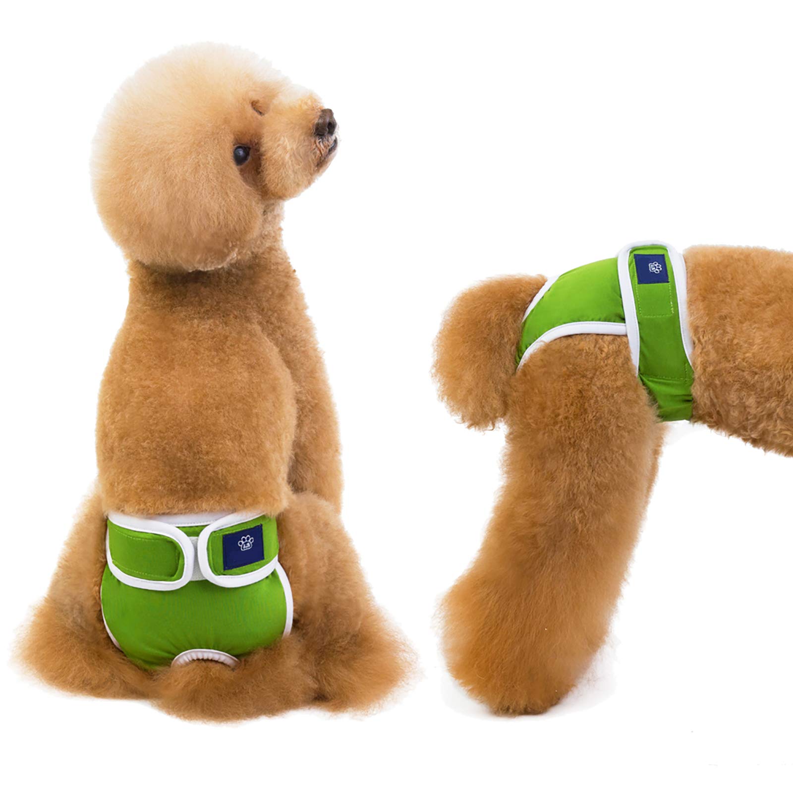 Sous-vêtements sanitaires pour animaux de compagnie durables et confort XL