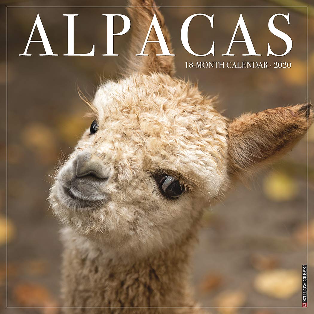 Alpacas 2020 Wall Calendar