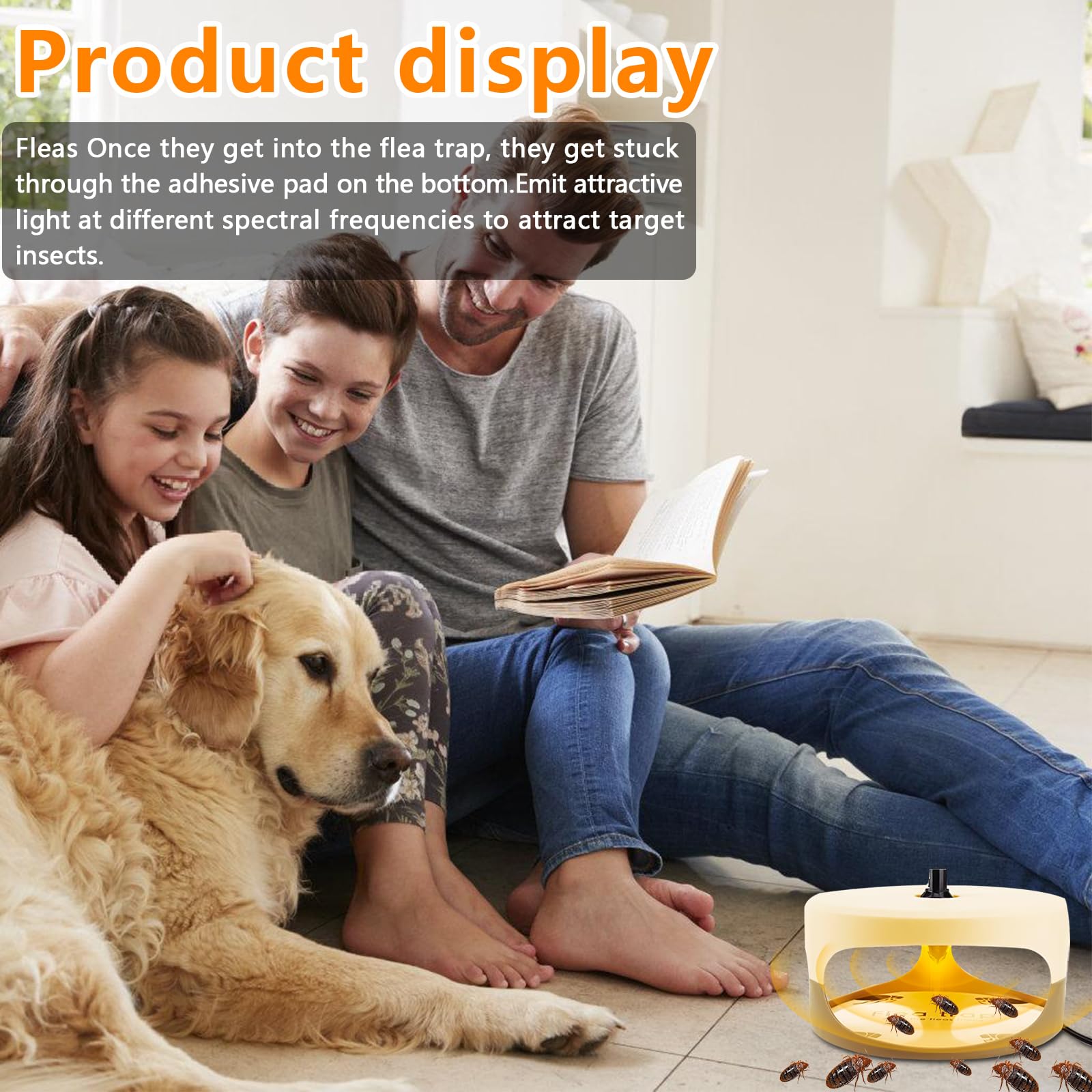 Lot De 2 Pièges à Puces Pour Appartement - Ampoule Intégrée - Piège Pour Puces Avec Interrupteur Et 4 Disques Adhésifs - Vainqueur Du Test - Pour La