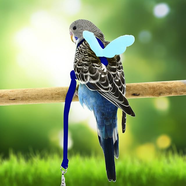 Foto 2 de 6 de Budgerigar - Arnés y Correa para Loros, diseño de Entrenamiento Ajustable, antimordeduras, Cuerda de Nailon…