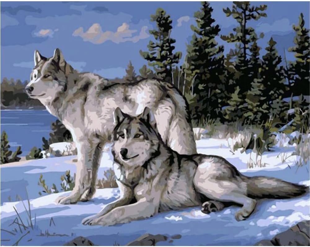 SUBERY DIY Oil Painting, Paint by Number Kit - Two Wolves Love Each Other 16x20 inch (Without Frame)