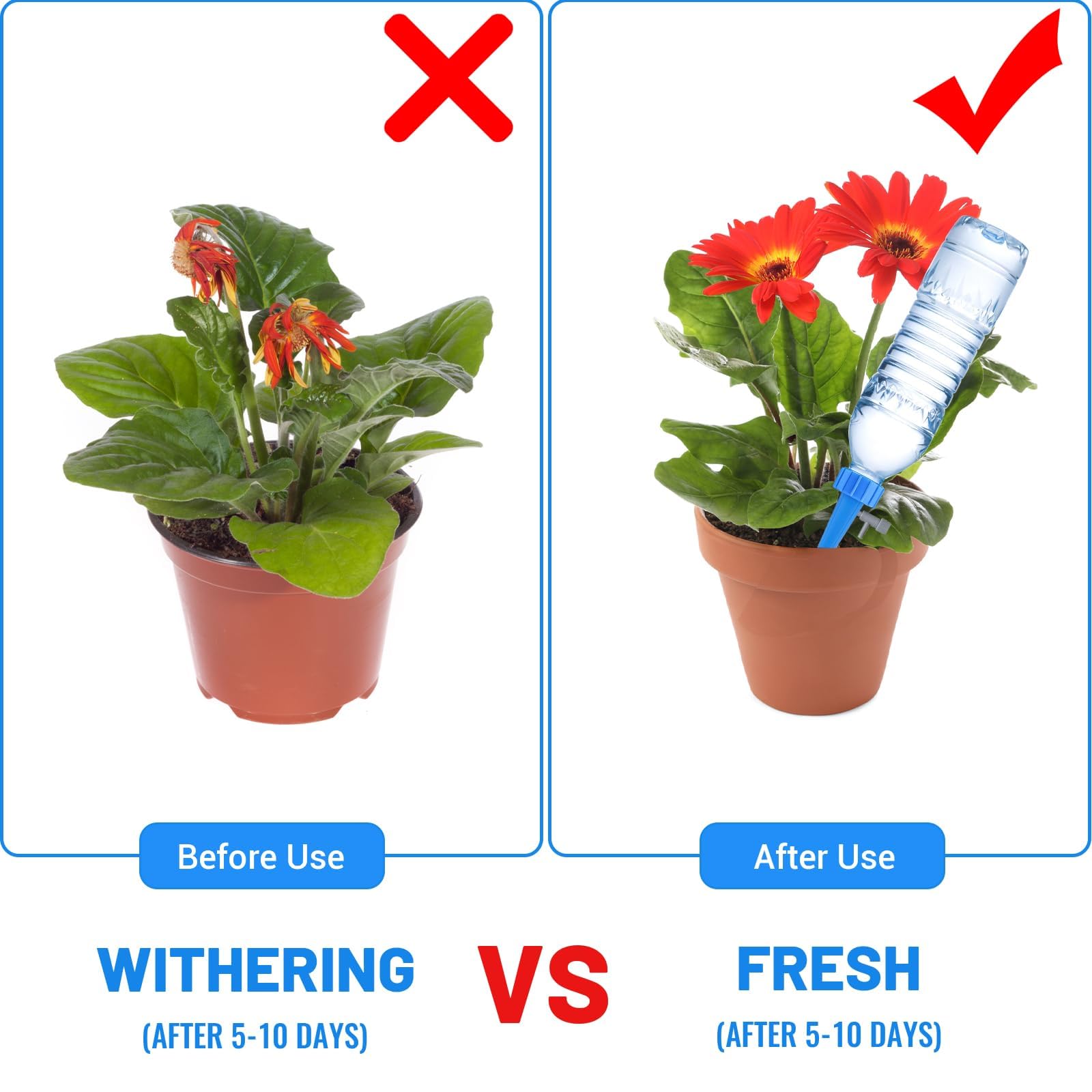 30 Pièces Goutte-à-Goutte Bouteille Réglable – Arrosage Automatique Pour Plantes Intérieur & Extérieur, Vacances Sans Stress