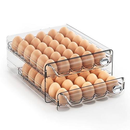ZHAIXIAONIAN 60 Eggs Organizer for Refrigerator