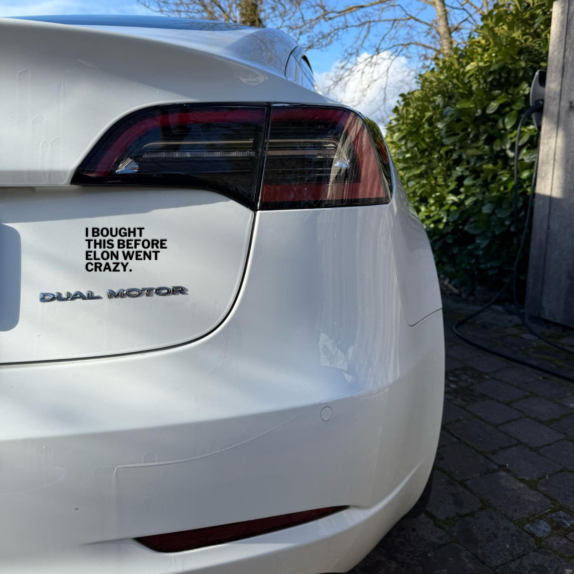 GreenWise Adhesivo de vinilo para coche diseño texto alemán I Booght THIS BEFORE ELON WENT CRAZY