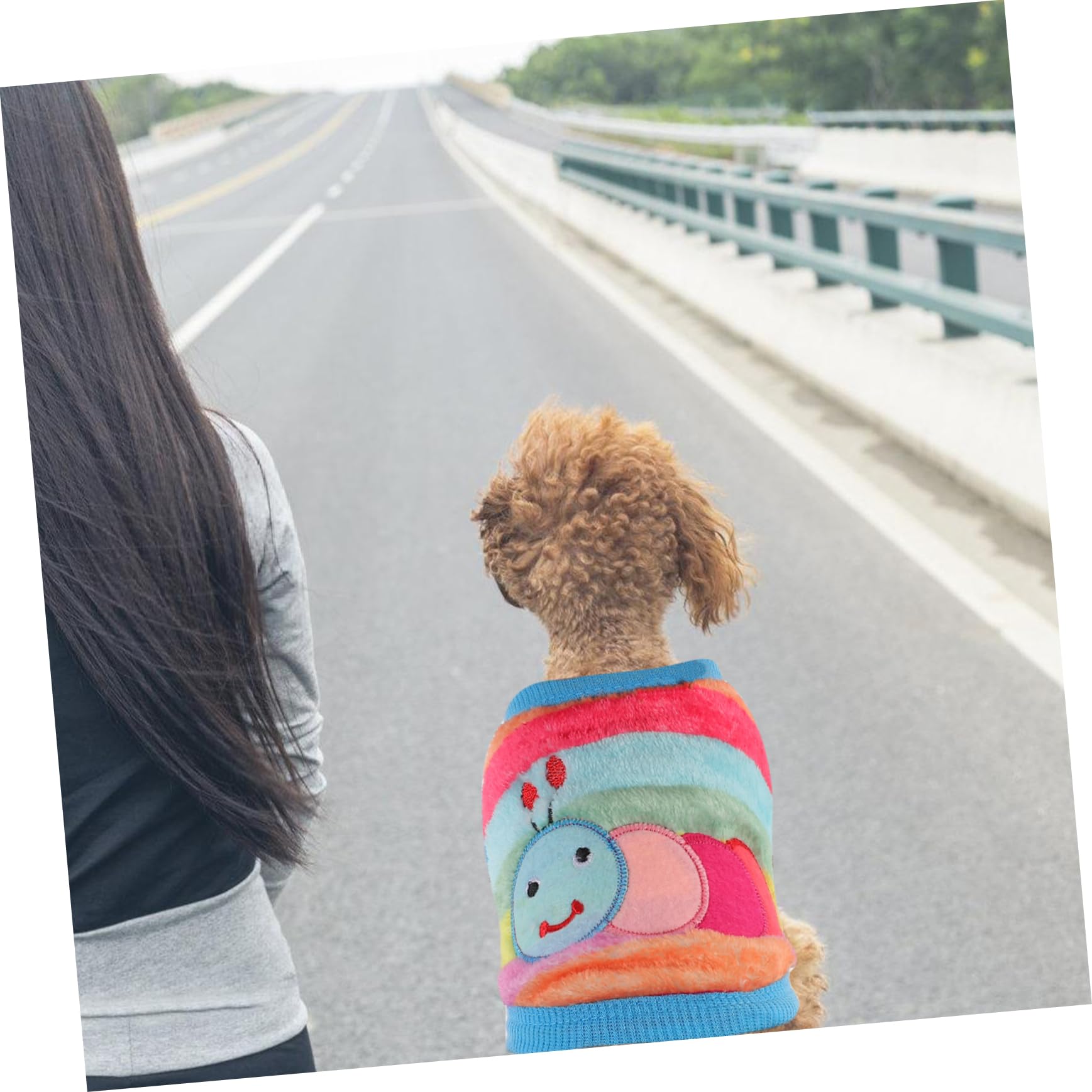 3 Stück Winter Hundewesten - Flanell Cartoon Westen Für Kleine Hunde & Katzen