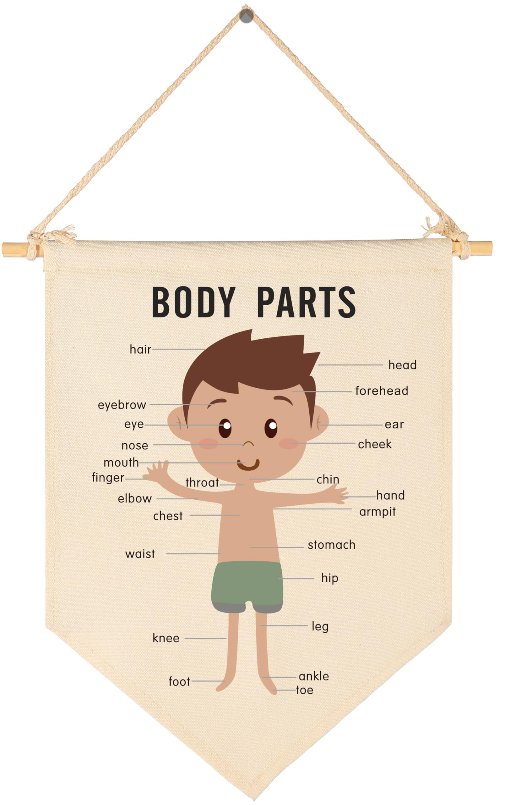Classroom Wall Banner Decor-Teacher Supplies Gift-Inspirational Back to School Wall Educational Flag-Motivational Quote-Hanging Canvas Pennant Sign for Classroom-Boy,Body Parts Educational