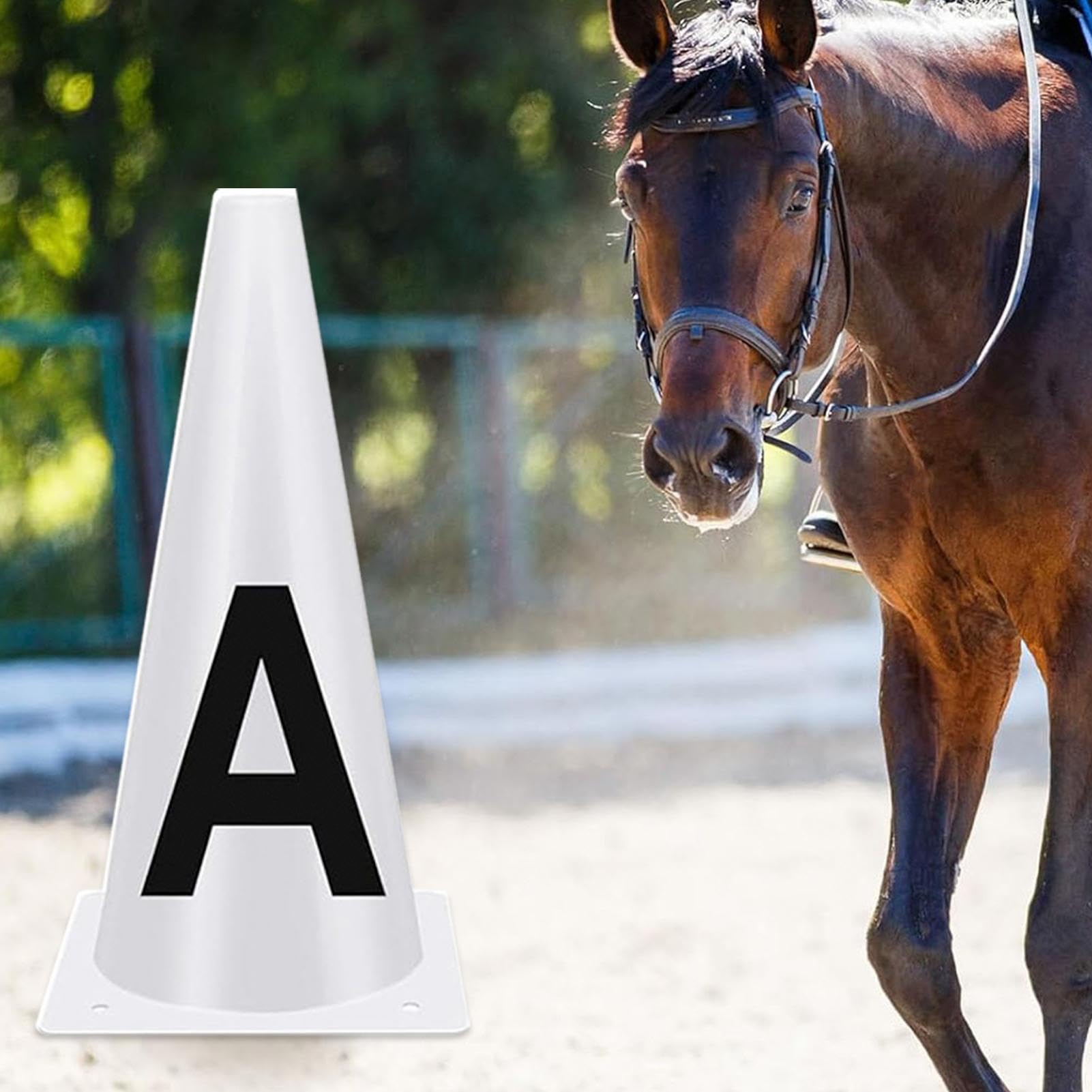 Generico Coni per Addestramento Forniture Equestri | Segnalini Dressage Con Lettere Per Addestratori Organizzatori Gare Lavoro A Terra Affondo Cavaletti Lavoro Con Pali Esercizi