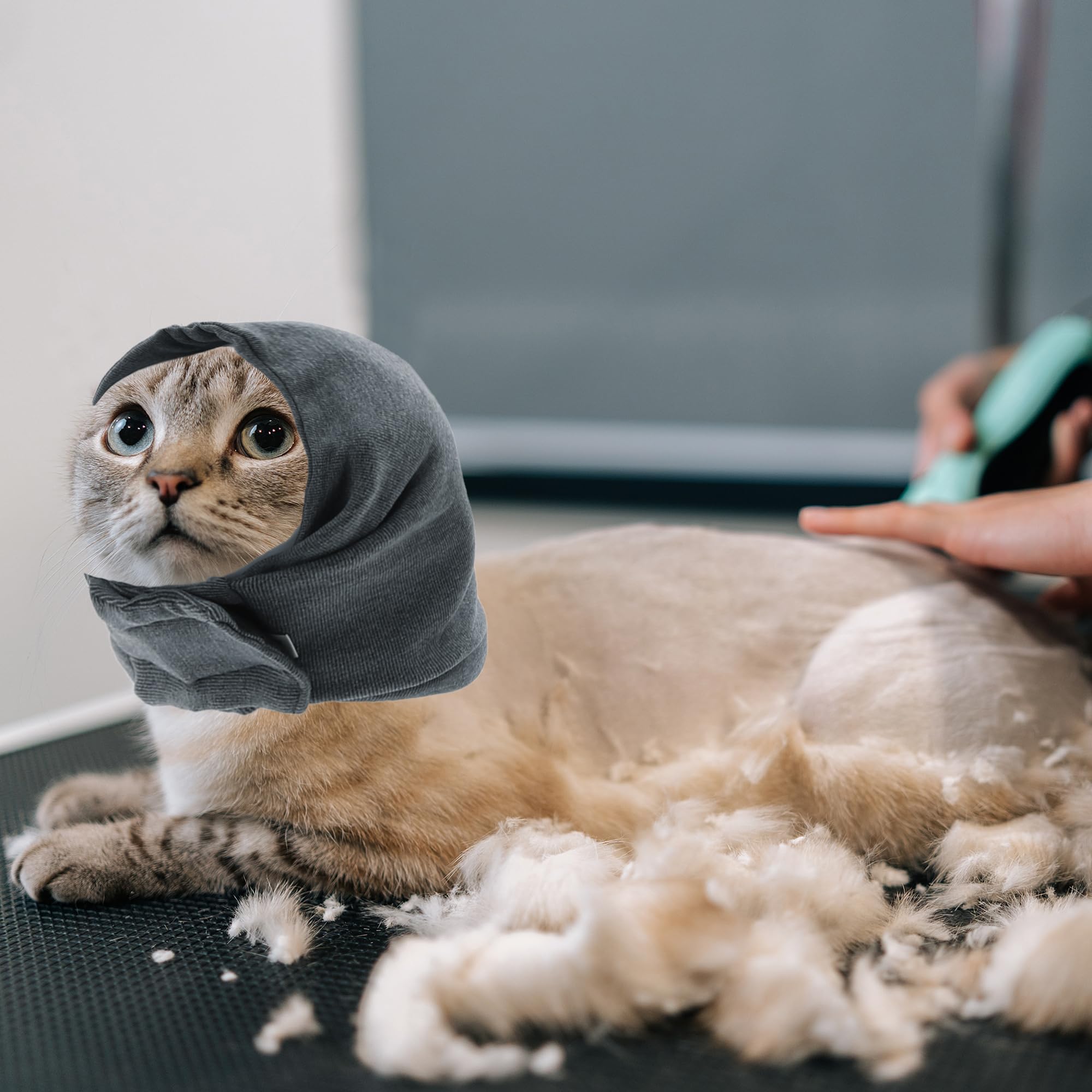 Fascia calmante Regolabile per Cani con Nastri magici, Cappuccio calmante per Cani per Tenere al Caldo l'ansia, Protezione per Le Orecchie dei Cani per toelettatura Grigio M