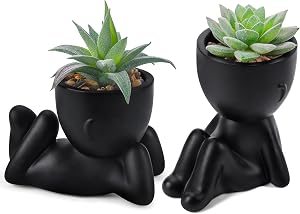 Der Rose 2Pcs Cute Fake Plants Artificial Succulent Plants for Office Desk Bathroom Room Shelf Black Decor Indoor Accessories Aesthetic