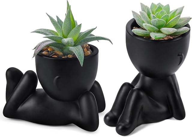 Der Rose 2Pcs Plantes de faux-faux artificielles Succulent Plantes pour Bureau Salle de bain Étagère Noir Décor Intérieur Accessoires Esthétique