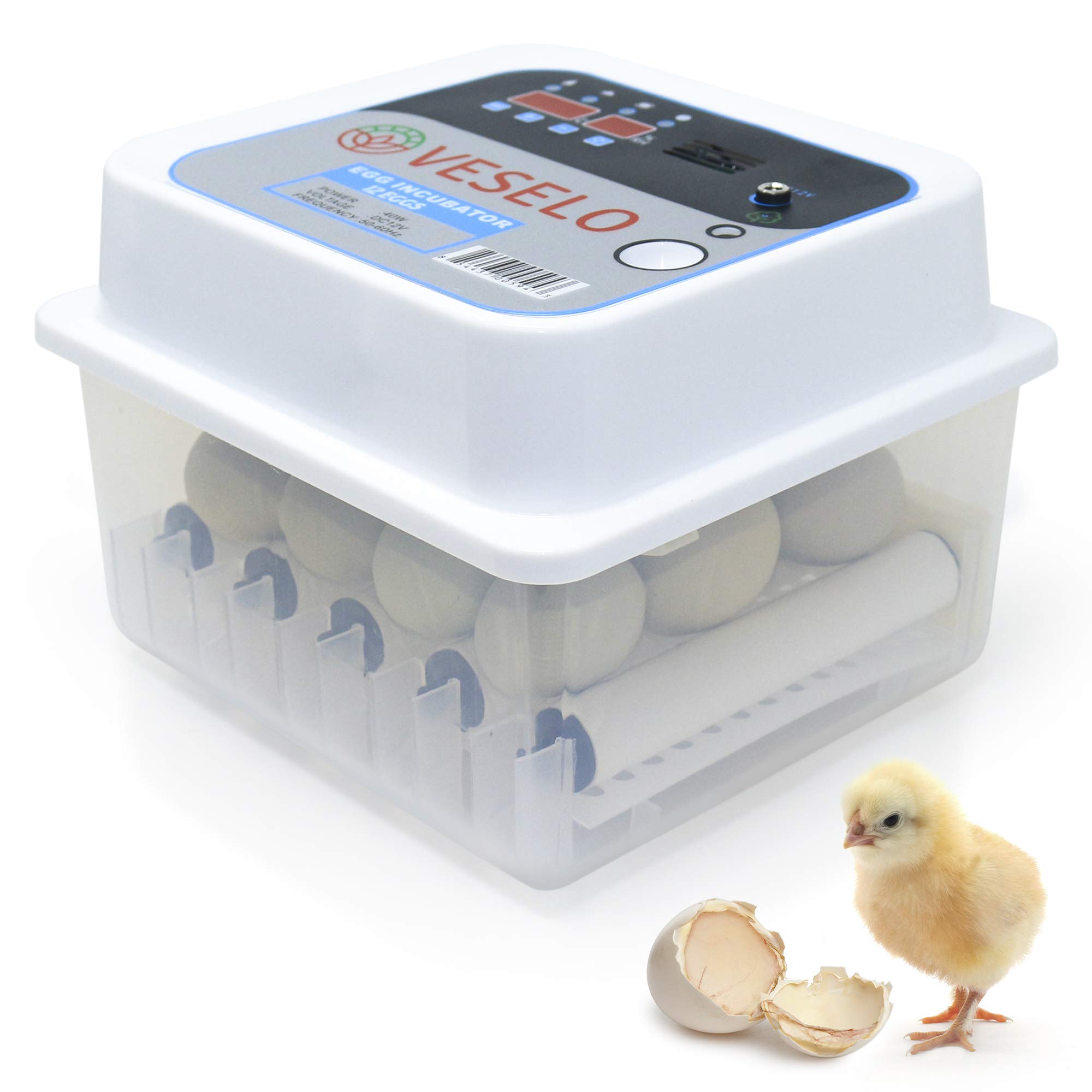 Buy New! Automatic 12Egg Incubator Automatic Egg Turning Humidity