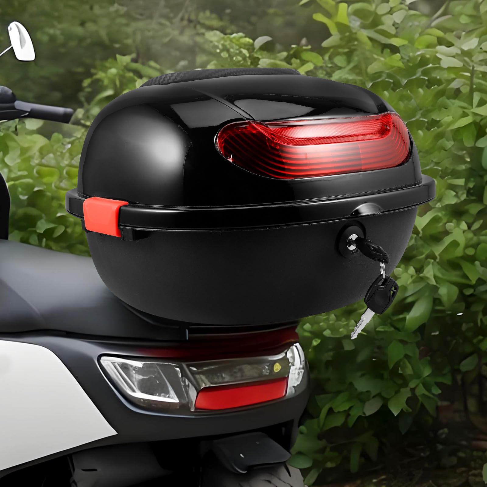 ABOOFAN Bauletto per Moto, Box Posteriore Pp con Schienale