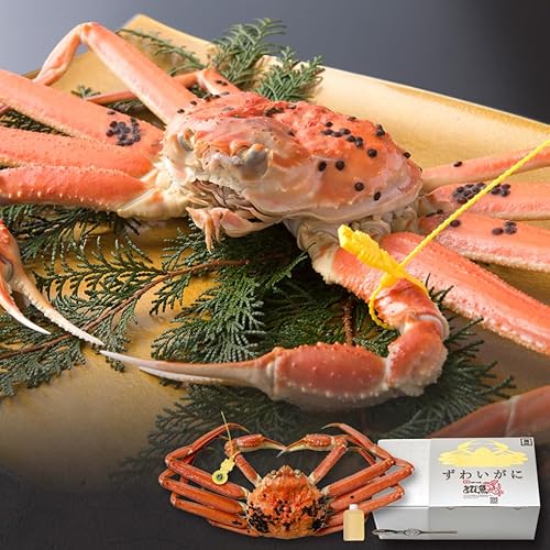 yg攭zy{CzzOKj 1kg 䌧Y Y Yn zO YCKj zO  etizen1kg