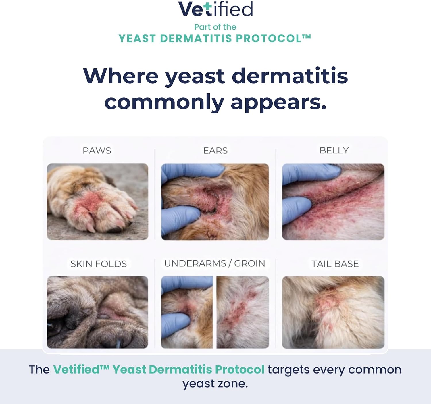 Yeast Dermatitis Treatment for Dogs - 16 Fl Oz SHAMPOO