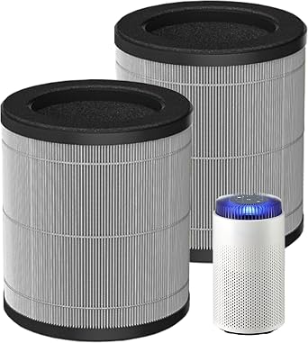 2 Pack Airmega 50 Replacement Filter for Coway Airmega 50 Air Purifier | 3-in-1, H13 True HEPA with Activated Carbon and Pre-Filter, Model AP-0425C-FP