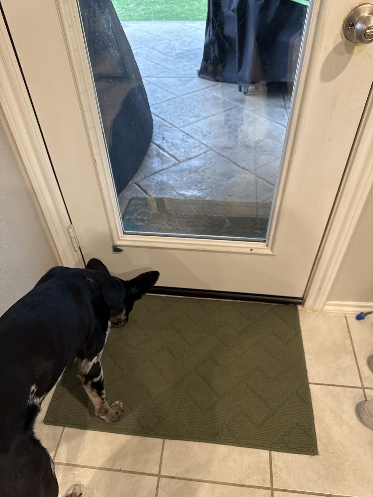 Customer review photo