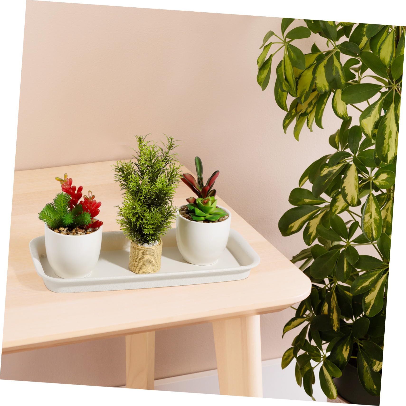 Milisten 5 Stück Blumentopf Untersetzer aus Kunststoff Rechteckig Beige Atmungsaktiv und Wassersparend zum Schutz der Oberfläche während Sommerferien