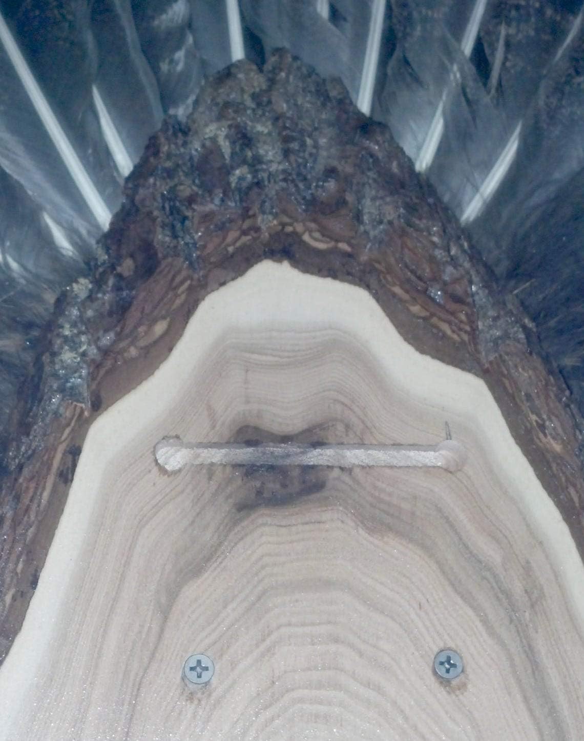 Turkey Fan Plaque/Turkey Mounting Kit/Turkey Hunting Turkey Fan and Beard Mount/Turkey Fan Mount And Display Kit/One Of A Kind Turkey Fan Mount Turkey Fan And Wing Mount