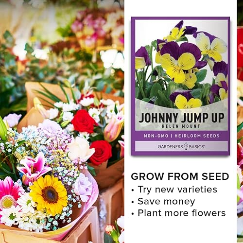 Miniatura 7 de Violet, Johnny Jump Up - Semillas de flores para plantar, paquete de semillas de flores anuales de polinización abierta, variedad sin OMG, semillas