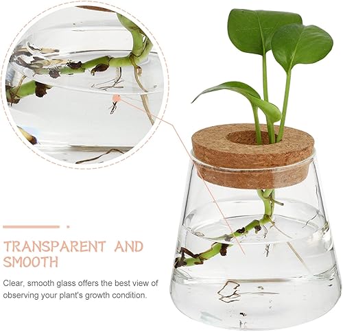 Miniatura 4 de DOITOOL 2 tapones de madera redondos de corcho micro para botella decoración de jarrón de botella soporte de decoración bromelias de flores