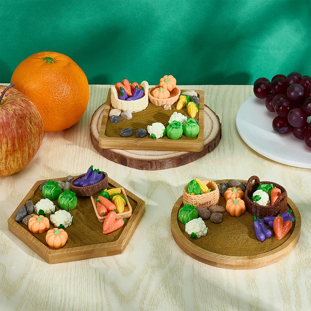 Amazon.com: WEBEEDY 3 Sets Vegetable Gardening Themed Mini Zen