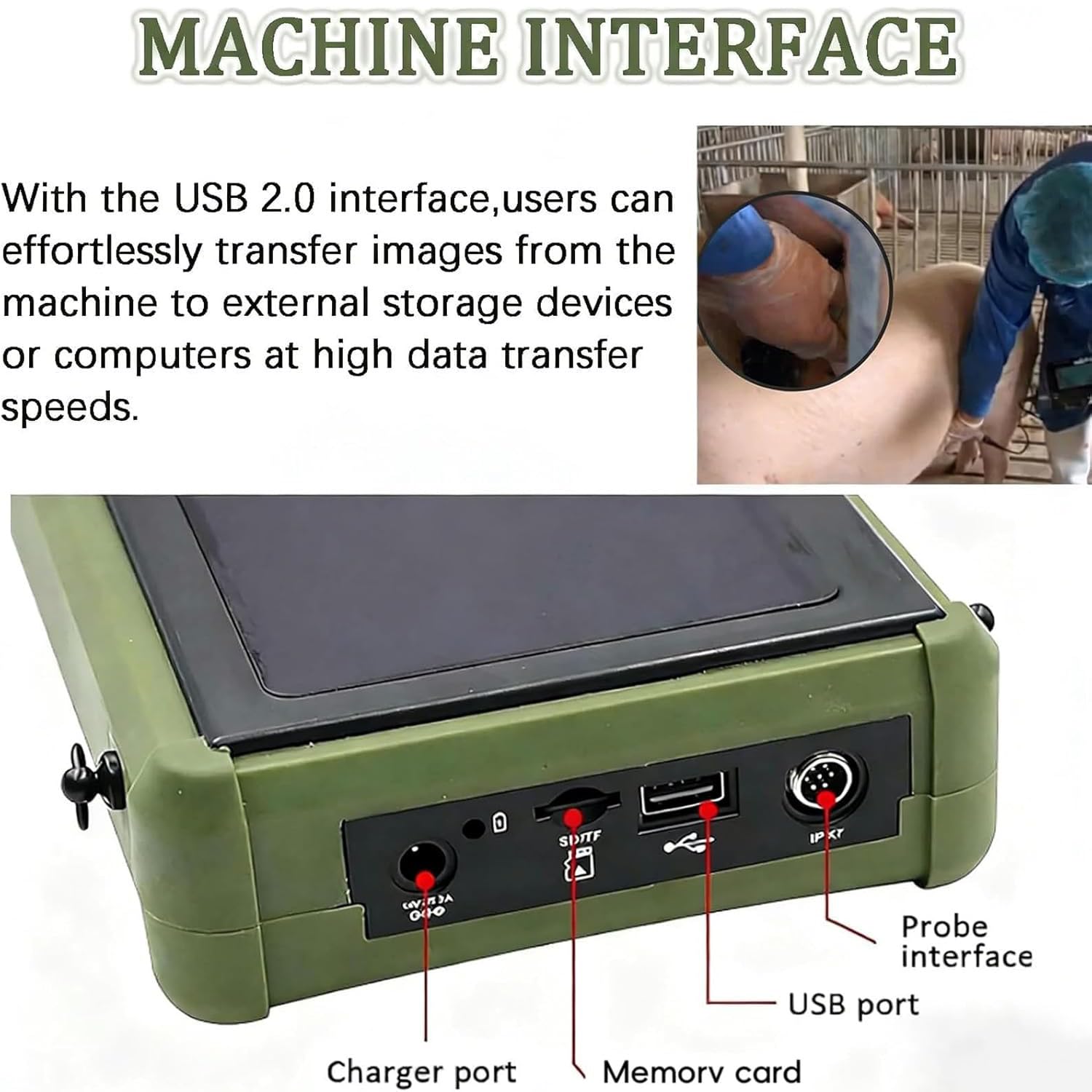 Ecografo veterinario, scanner portatile B-Ultrasound per animali, diagnostica veterinaria della gravidanza, scanner portatile B-Ultrasound per veterinari/veterinari/animali con sonda impermeabile