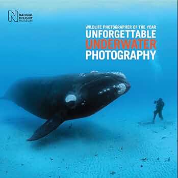 Wildlife Photographer of the Year 未開封 6冊 Wildlife Photographer of the Year 未開封 6冊
