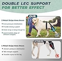 Vista 4 de Rodillera para perro para patas traseras para perros grandes a pequeños, soporte fuerte, ajustable, con 2 tiras de metal para displasia de cadera
