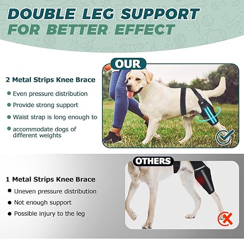 Miniatura 4 de Rodillera para perro para patas traseras para perros grandes a pequeños, soporte fuerte, ajustable, con 2 tiras de metal para displasia de cadera,