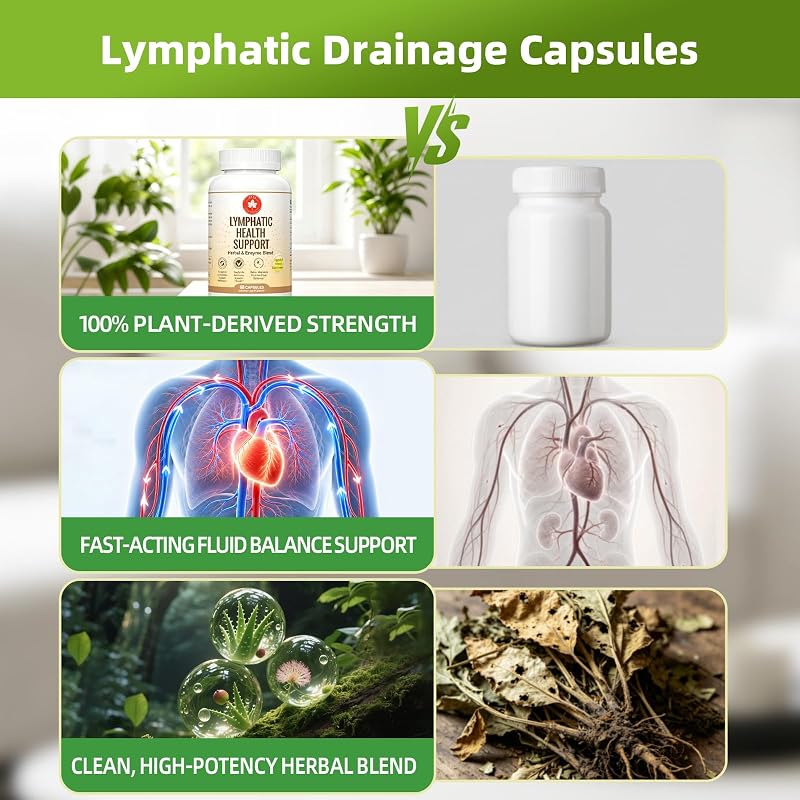Lymphatic Drainage Supplements,4800mg Immune Lymph System Support Supplements,Herbal Blend with Echinacea, Dandelion, Burdock, Bromelain, Calendula, Turmeric for Women & Men(60 Capsules) image 7