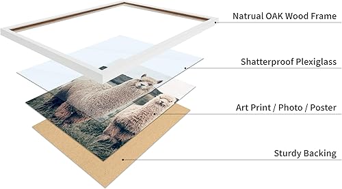 Vista 71 de Poster Master Póster de alpaca – Impresión de alpacas en pastizales – Arte de fotografía – Regalo para hombres, mujeres y amantes de los animales