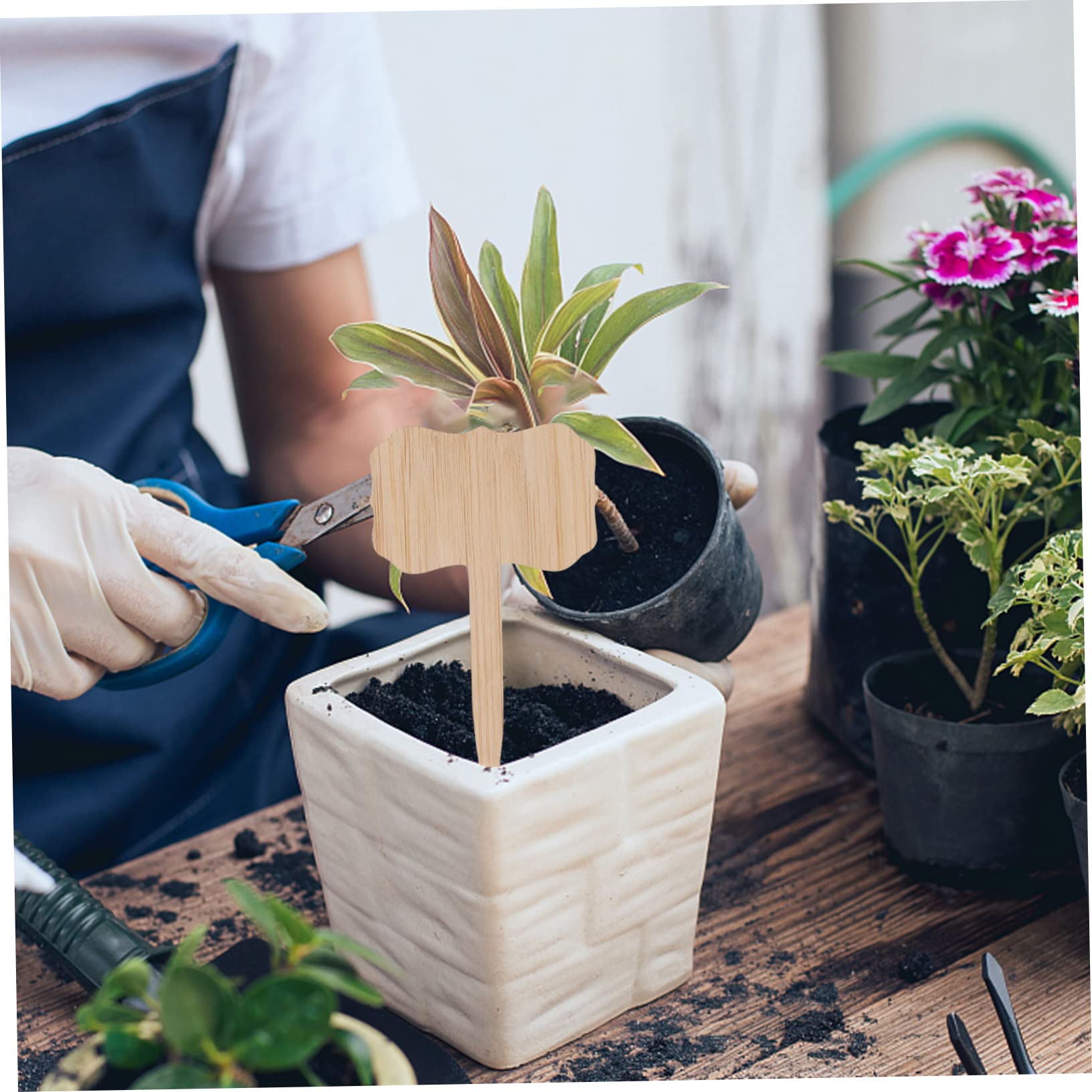 BESPORTBLE Lot De 4 Étiquettes Pour Plantes De Pépinière Étiquettes Naturelles Faciles À Installer Pour La Décoration De Jardin 40 Pièces X 4