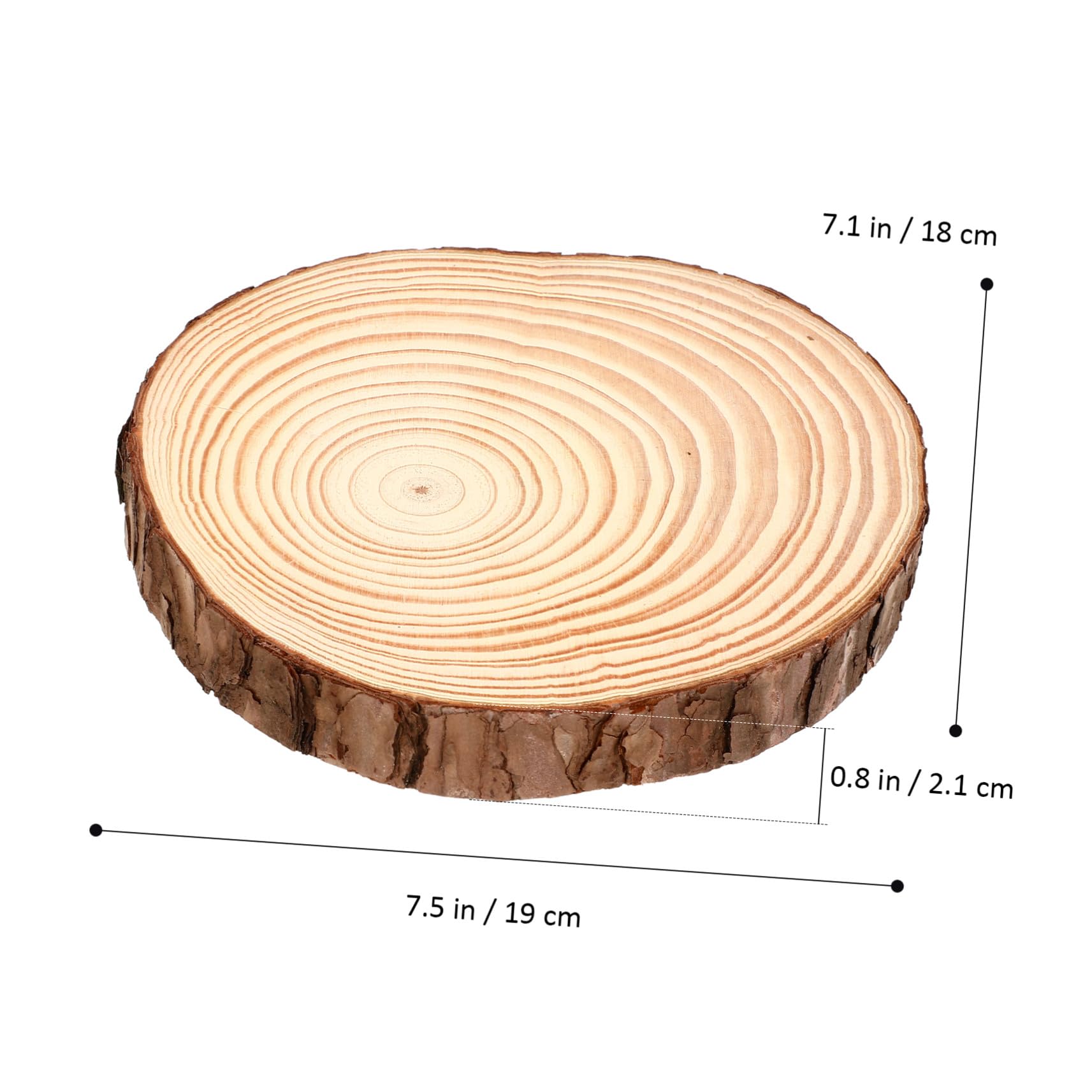 2 Pezzi Fette di Tronco di Legno Naturale Grezzo Rotonde con Superficie Liscia Non Finite per Artigianato Rustico Matrimonio Fai da Te