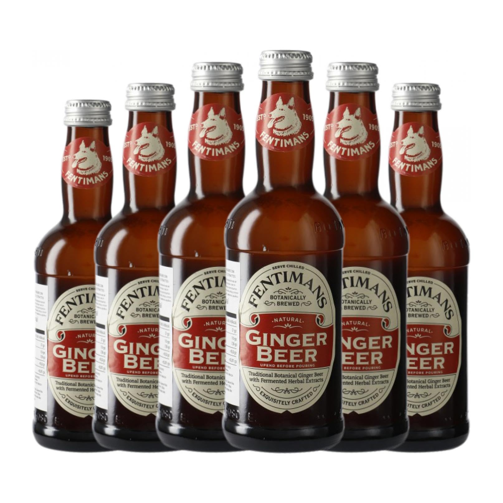 Fentimans Ginger Beer Botellín 27 cl Caja de 6