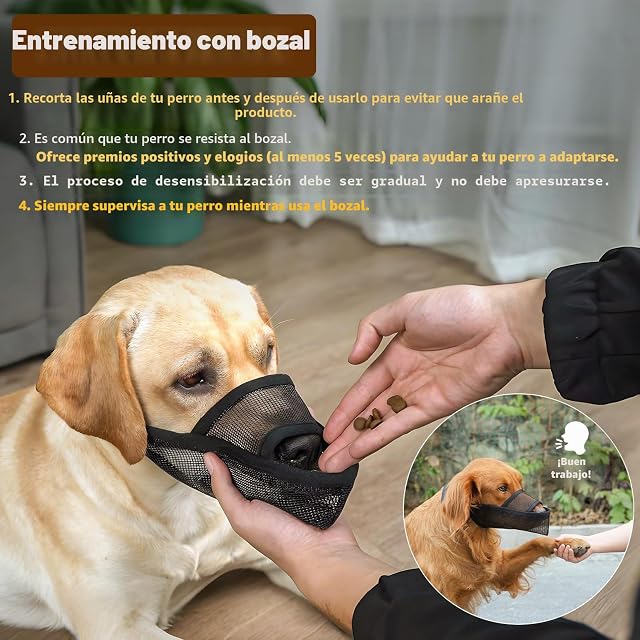 Foto 4 de 8 de Crazy Felix Bozal de Nailon para Perros, para Dachshund, Beagle, caniche, Labrador