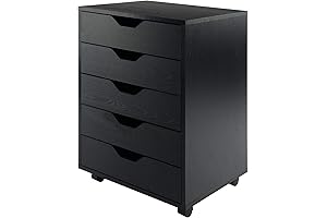 Winsome Wood Halifax Drawer for Closet Organization