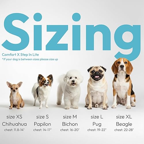 Miniatura 2 de Gooby Comfort X Step in Lite - Arnés para perro, sin estrangulamiento y sin escapes, con malla transpirable ligera para perros pequeños y medianos