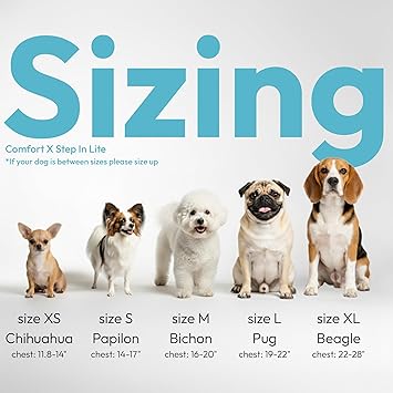Gooby Comfort X Step in Lite Dog Harness - Choke Free, Escape Free with Light Breathable Mesh - Step in Dog Harness for Small Dogs Only - Quick Release Buckle, Metal D-Rings - Black, X-Small