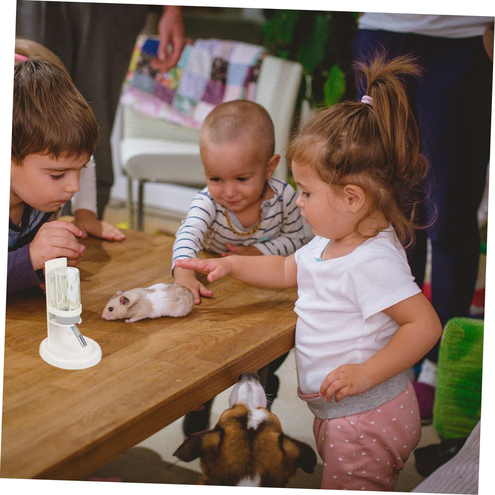 Beaupretty Distributeur D’Eau pour Hamster, Biberon pour Rongeur, Bouteille Transparente Anti-Fuite, Lecture Facile du Niveau D’Eau, pour Petits Animaux