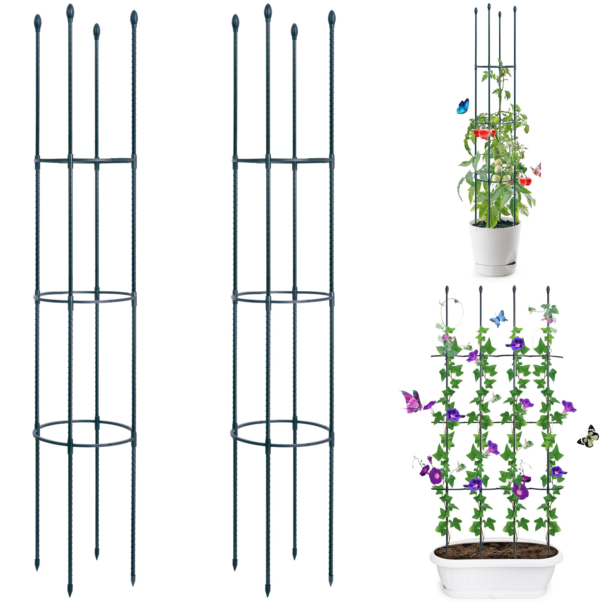 Buy Garden Trellis 2 Pack 60" Tomato CageTall Plant Support Climbing