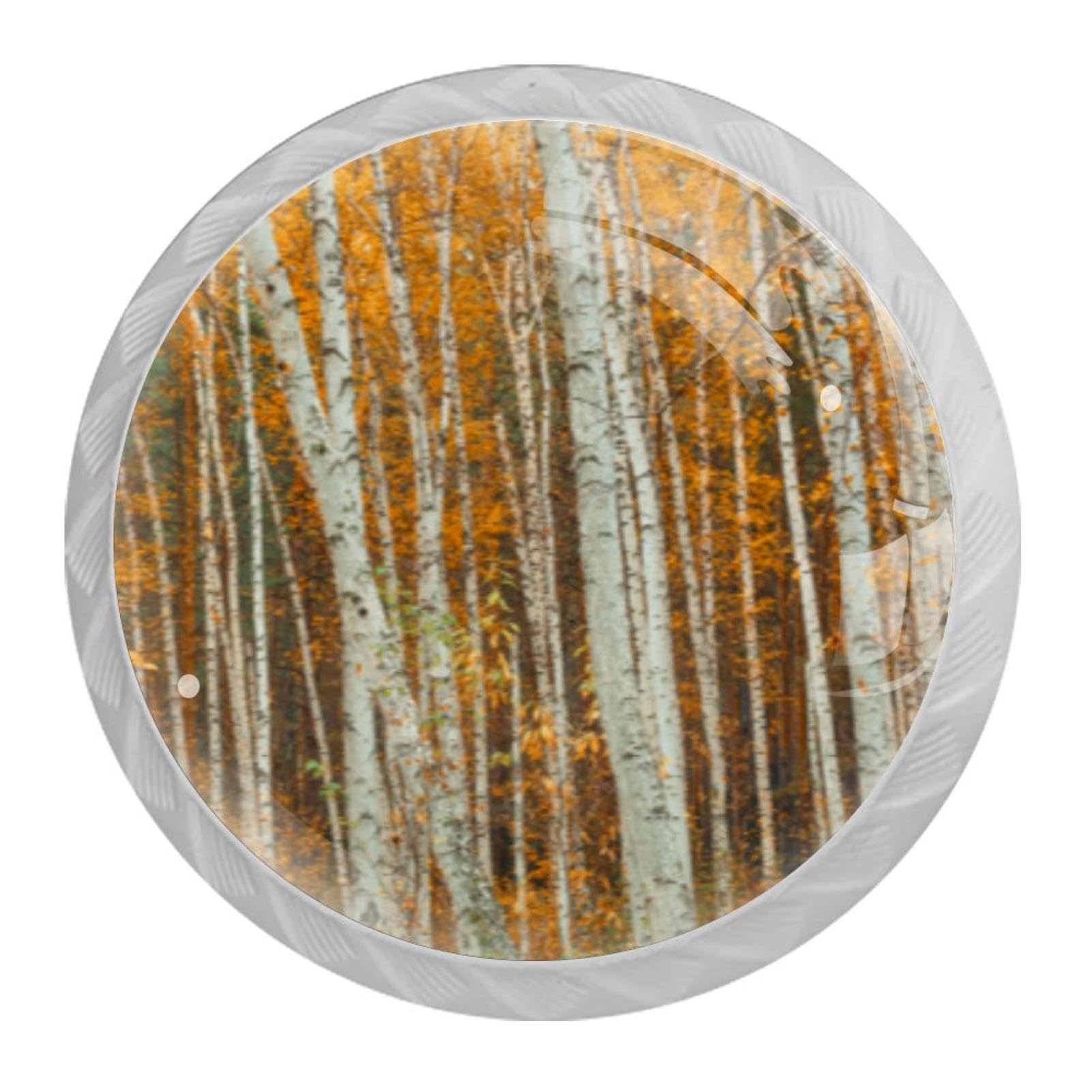 Tqmspg Multi03 4 Pieces Drawer Pulls Autumn Birch Forest Landscape Door Knobs Dresser Handles For Kitchen Wardrobe Cupboard Hardware Furniture