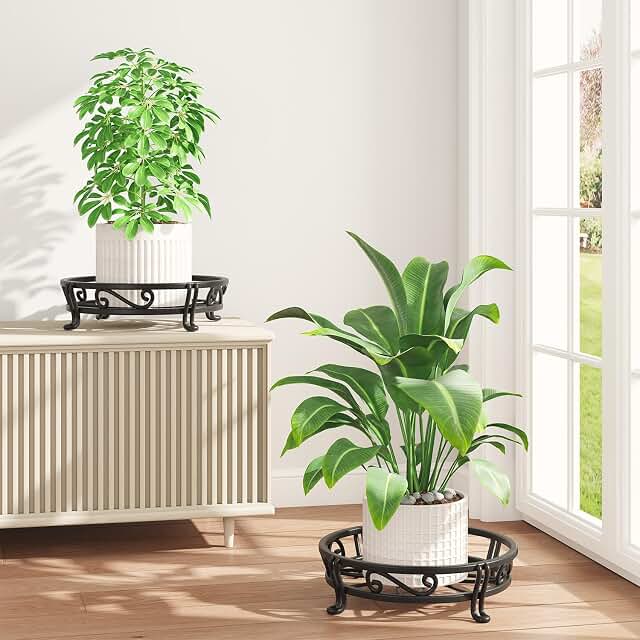 iDavosic.ly metal plant stands