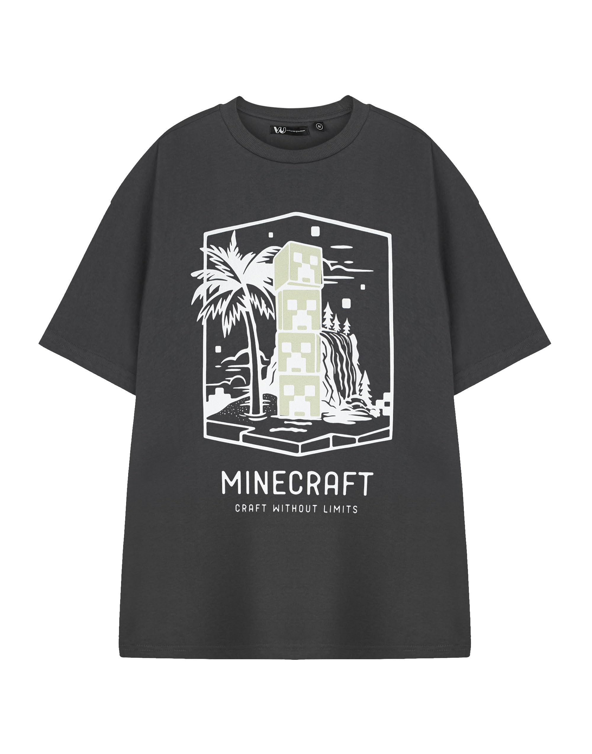 Minecraft Men's Graphic T-Shirt - Cotton - L - Black