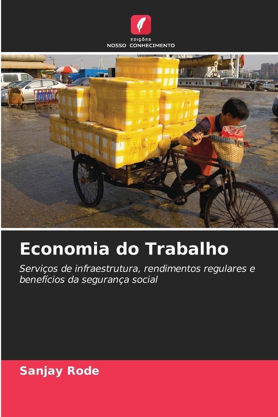 Economia do Trabalho: Serviços de infraestrutura, rendimentos regulares e benefícios da segurança social
