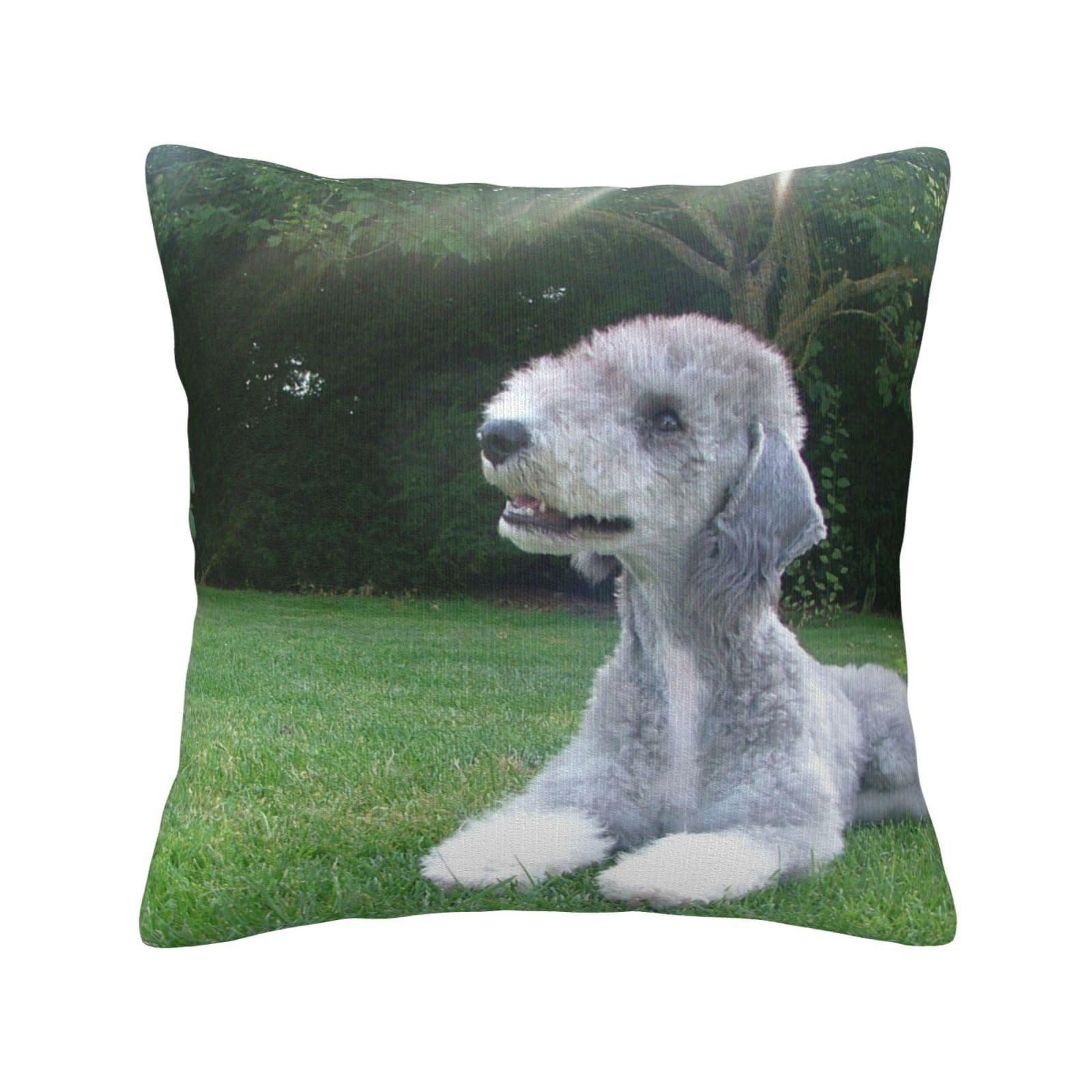 Bedlington Terrier Funny Dogs Furry Dogs Pets, Pillow Cover Decorative Throw Pillowcase Soft Polyester Cushion Covers 45x45 cm