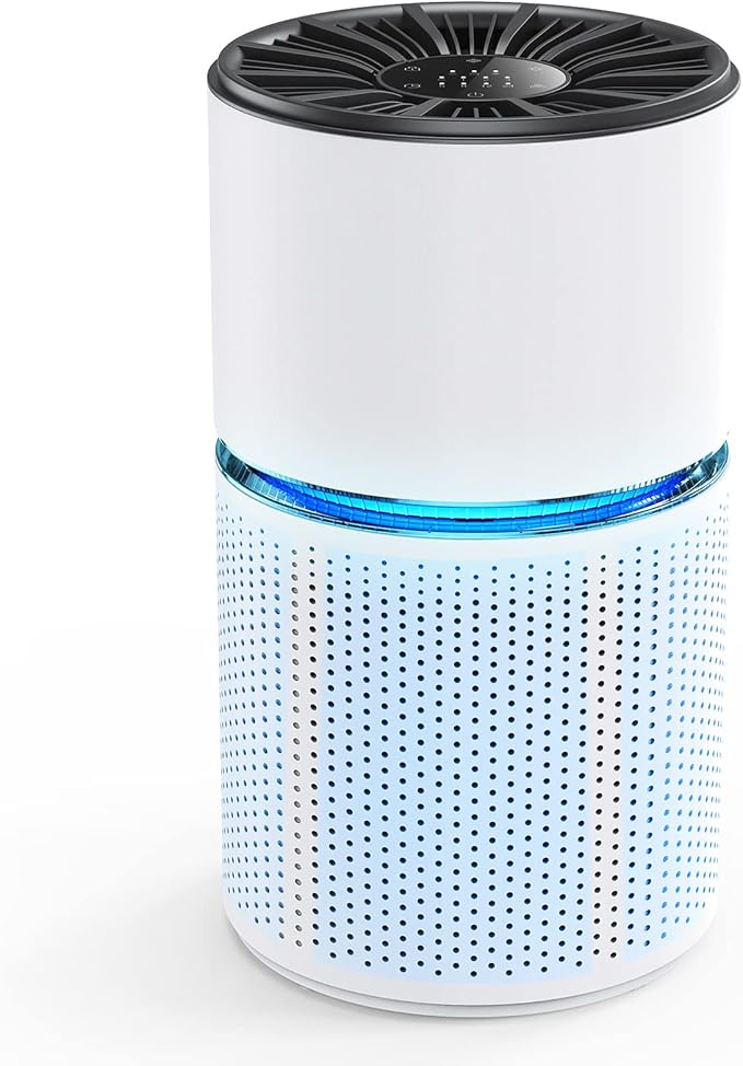 市場 空気清浄機 省エネ空気清浄機 空気脱臭機 マイナスイオン 空気清浄 フィルター付 清浄機 コンパクト 静音 花粉モード