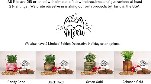 Miniatura 3 de Kit completo de semillas de hierba orgánica para gatos, semillas orgánicas para 3 cultivos, 2 discos de tierra, maceta de madera con agujero redondo