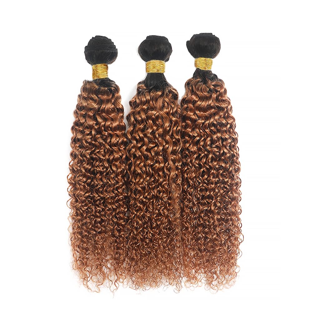 Ombre Human Hair Bundles 1B30 Curly Wave Bundles Human Hair Dark Brown Bundle 12 14 16 Inch Unprocessed Remy Hair Extensions Double Weft Salon Quality 3Pcs/Set Deals